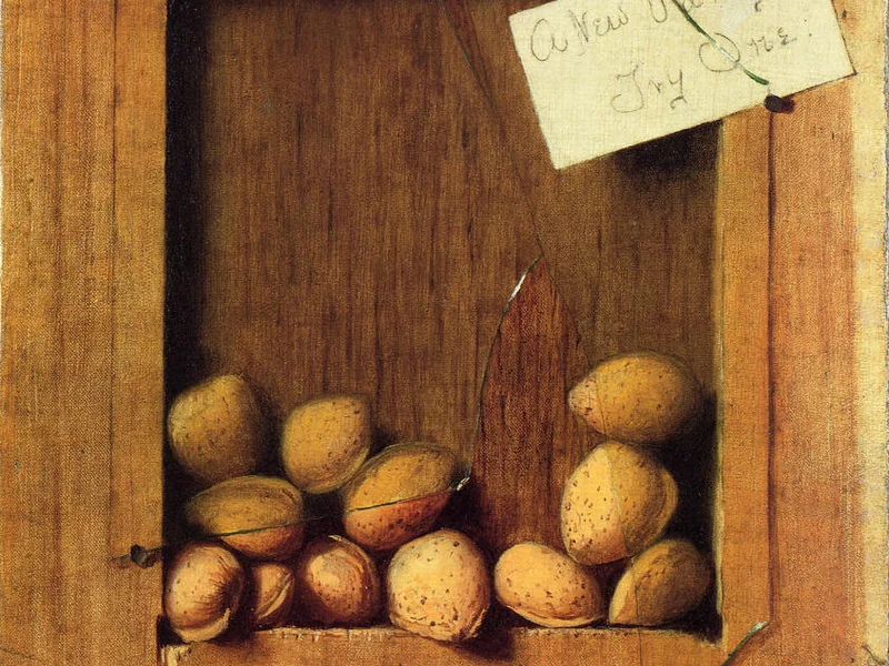 1847-De Scott Evans - Una nuova varietà da provare